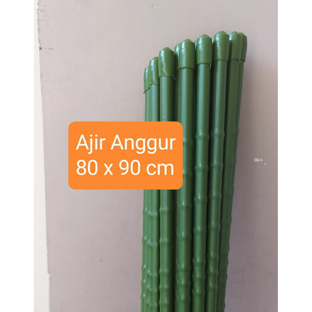 Ajir Tabulampot Anggur dan Tanaman Lainnya uk.8mm x 90 cm