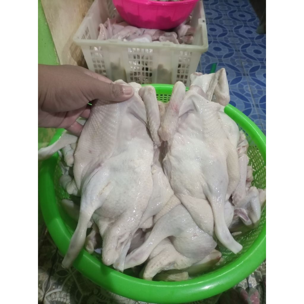 jual bebek potong bebek peking