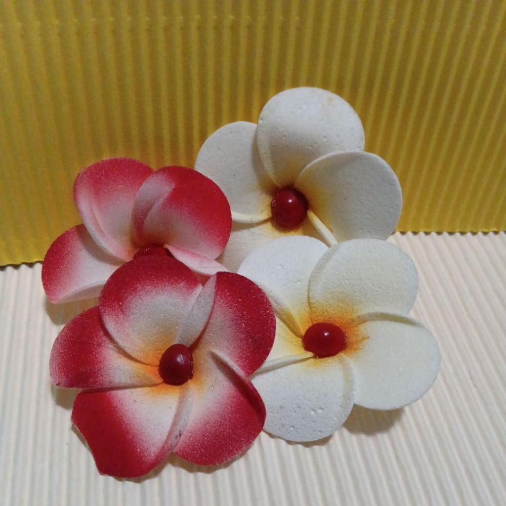 (12 biji)BungaKamboja/bungaspon/kamboja