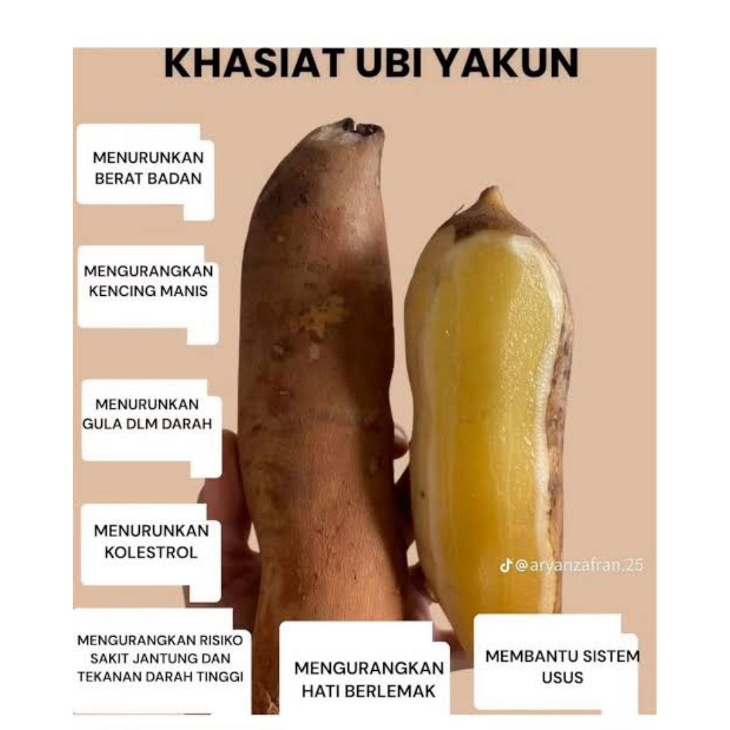 ubi yakon, umbi yakon