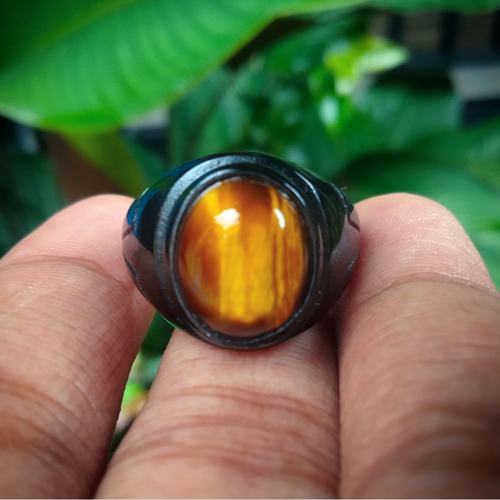 Cincin Titanium Maung Lodaya By Yudi Lmp