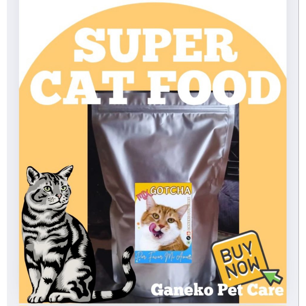 KIBBEL BESAR PAKAN MAKANAN KERING KUCING PENGGEMUK PERSIA ANGGORA MURAH LARIS REKOMENDASI RECOMENDED