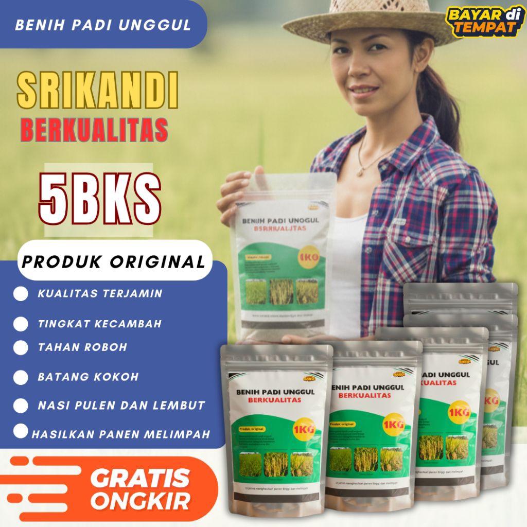 benih padi unggul Srikandi kemasan 5bks Original