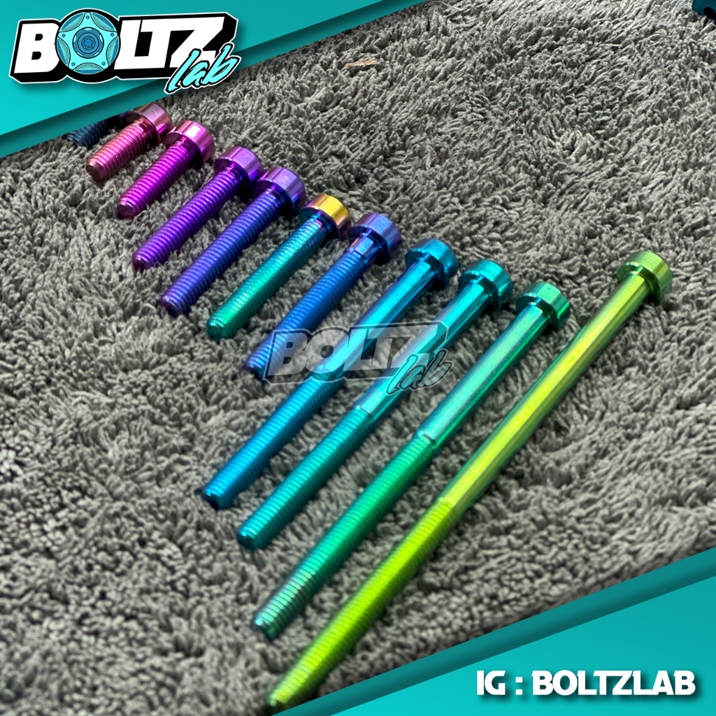 Baut Titanium Small Head (baut 10) M6x10-90