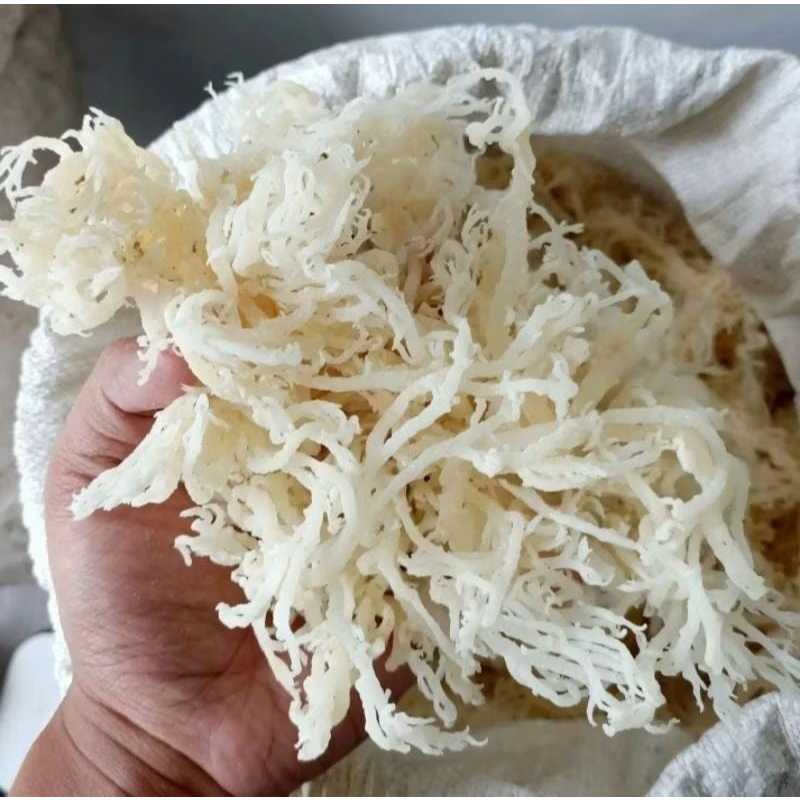 Rumput Laut Kering 1kg Normal /•Untuk Campuran Bahan ES Rumput Laut, ES Campur, DLL