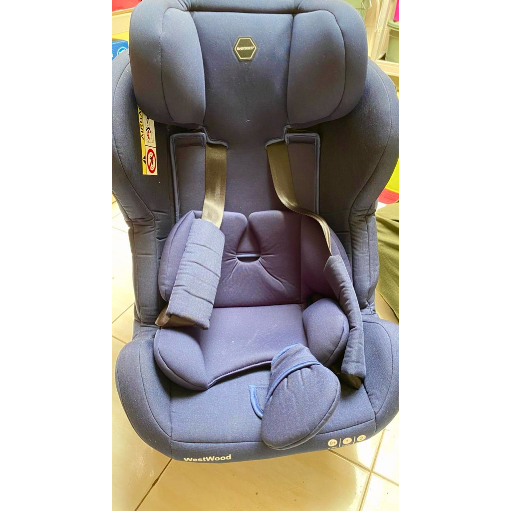 carseat babydoes
