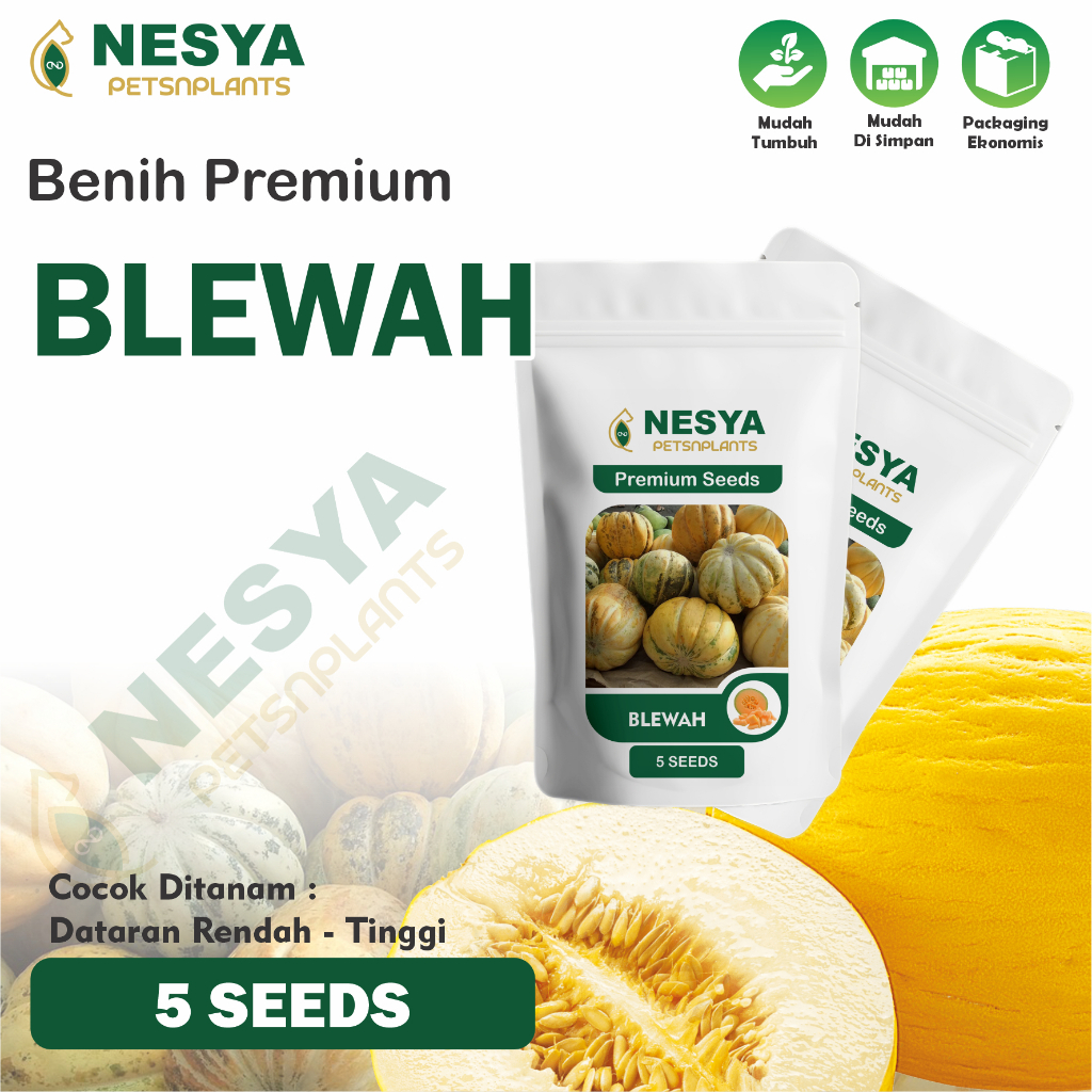Benih Blewah Benih Biji Buah Blewah 5 biji Unggul Berkualitas