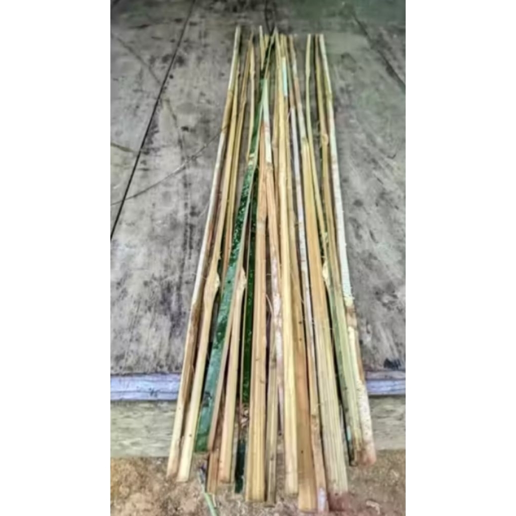 Bambu arku layangan bambu petung siap raut per pcs
