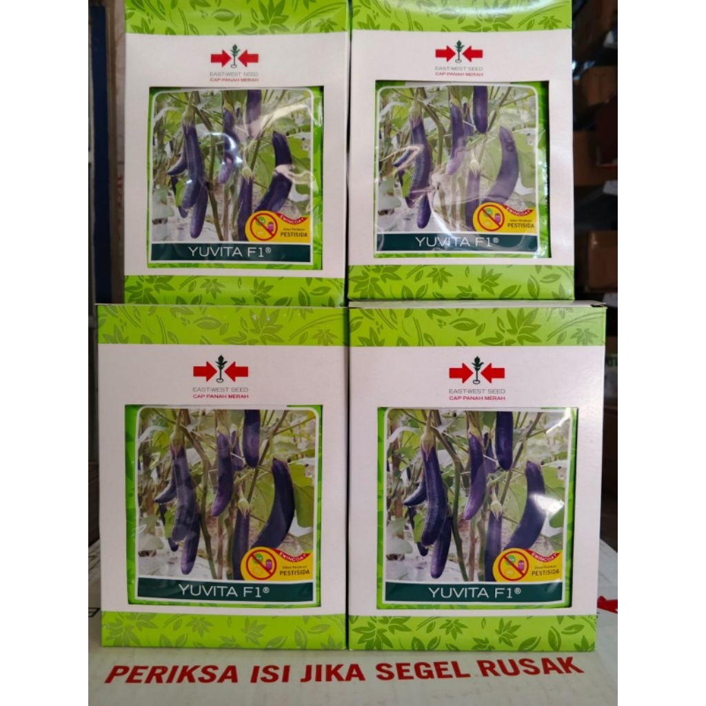 BENIH TERONG YUVITA - BENIH TERONG UNGU PANAH MERAH ORIGINAL