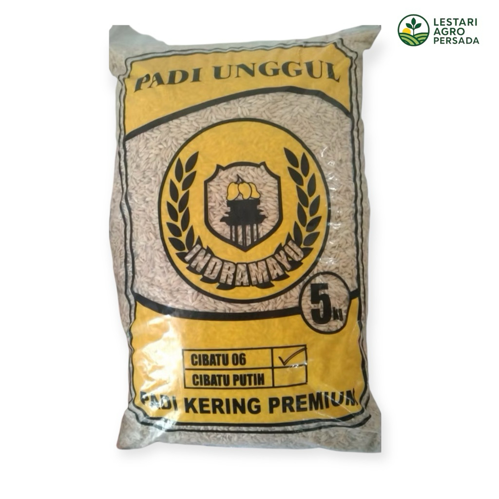 Benih Padi Cibatu 06