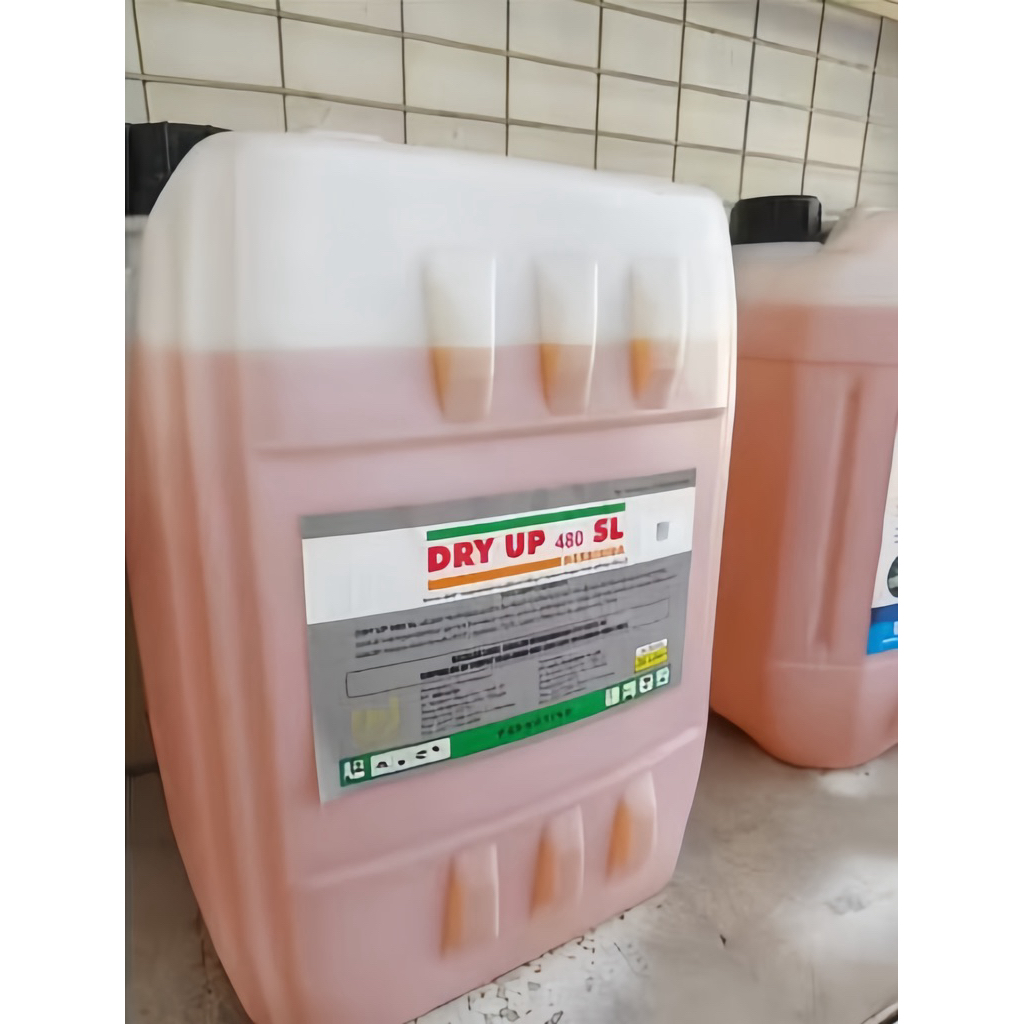 DRY UP HERBISIDA 20 LITER 480 SL OBAT PEMBASMI RUMPUT