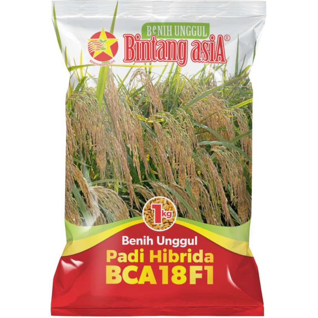 Benih Padi Hibrida BCA 18 Kemasan 1 kg Bintang Asia