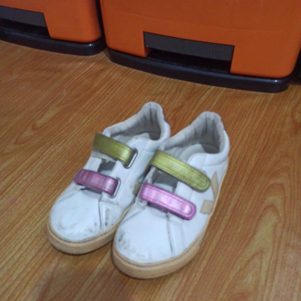 pl sepatu anak veja