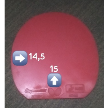 Karet pingpong butterfly dignic09c