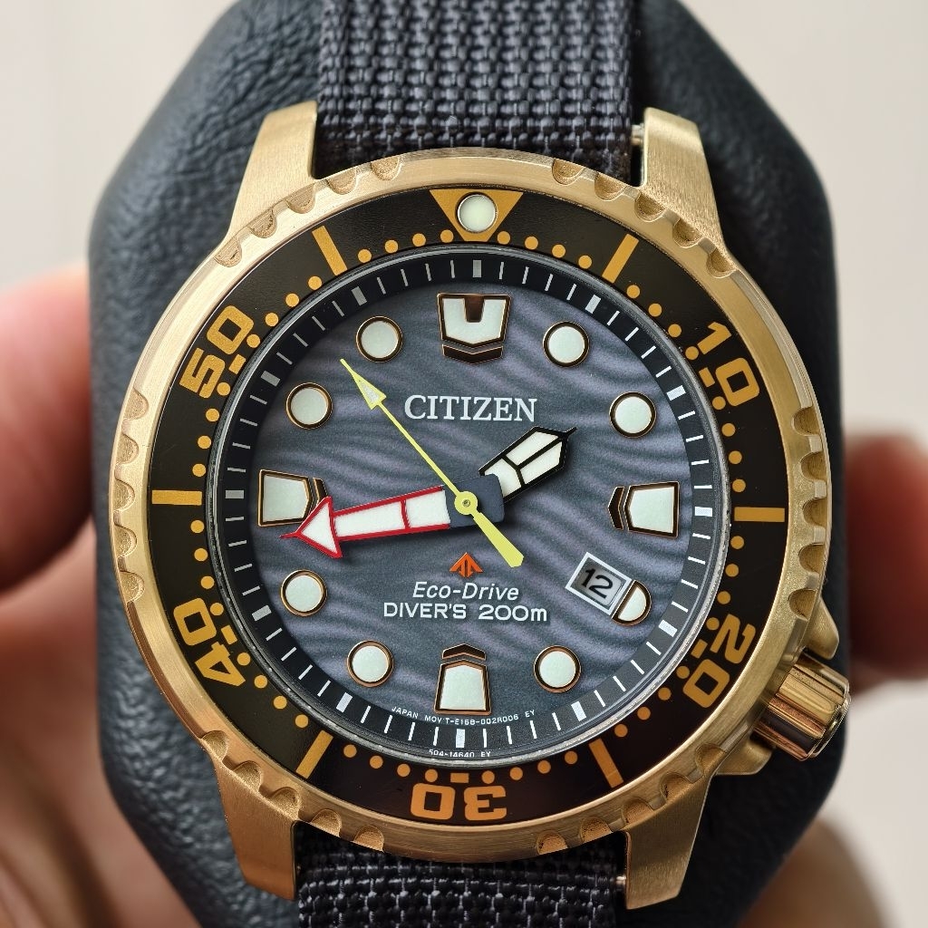 Citizen Promaster