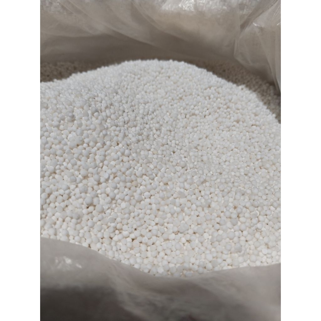 Sagu Mutiara Thailand Putih