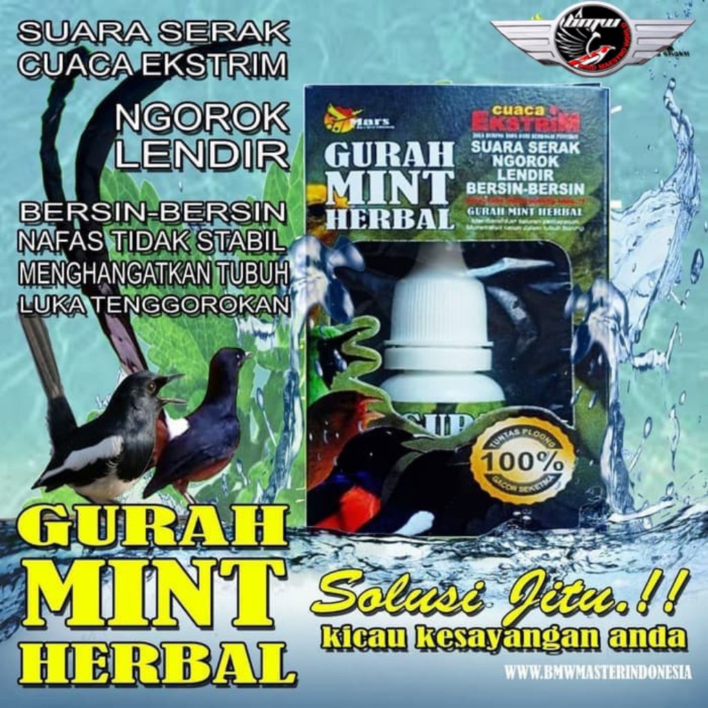 Gurah Mint Herbal Atasi Burung Serak Ngorok Lendir Flu