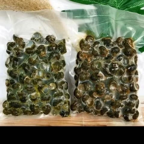 keong tutut frozen kemasan vakum 220gr