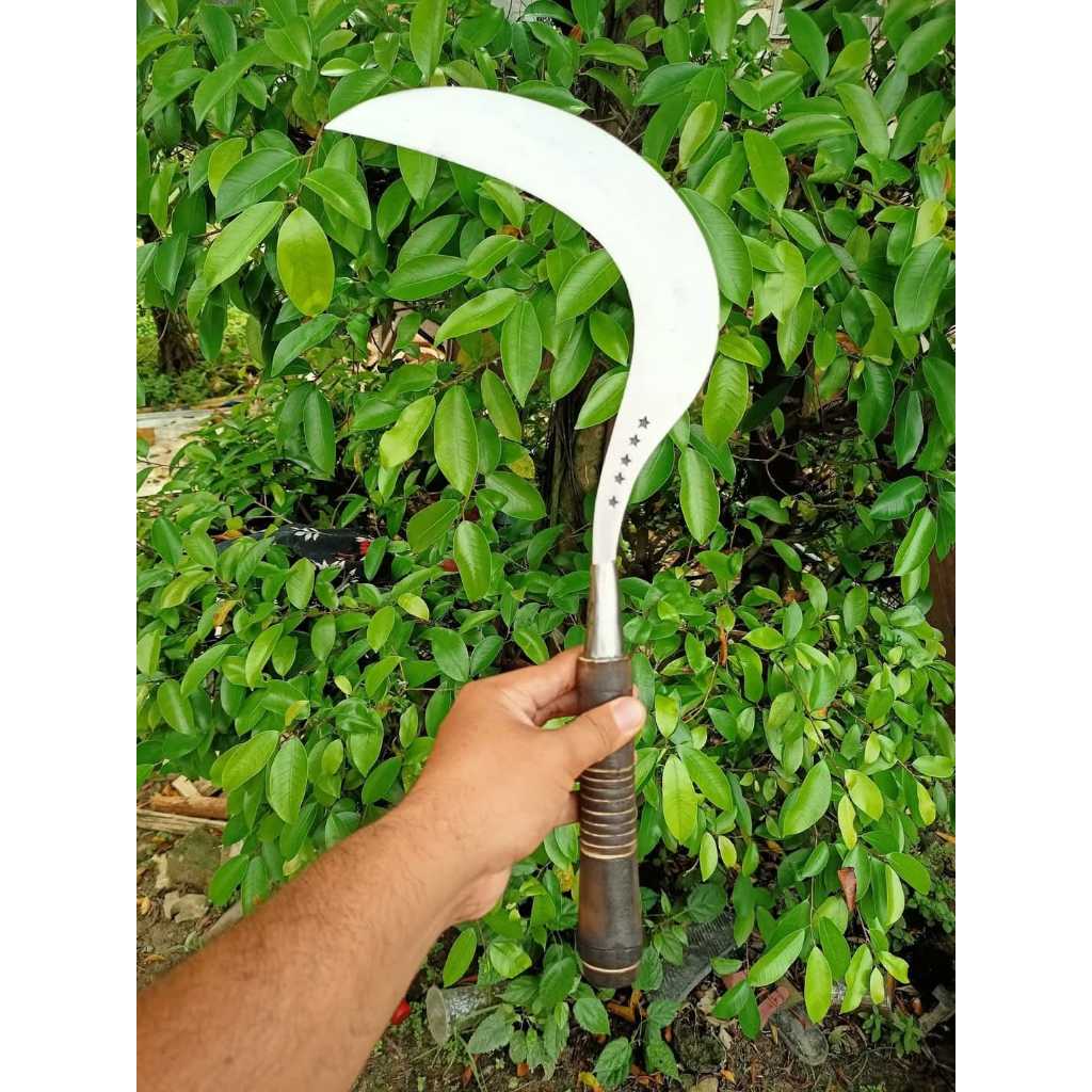 Arit Pertanian Cari Rumput asli madura pemotong padi ranting dll