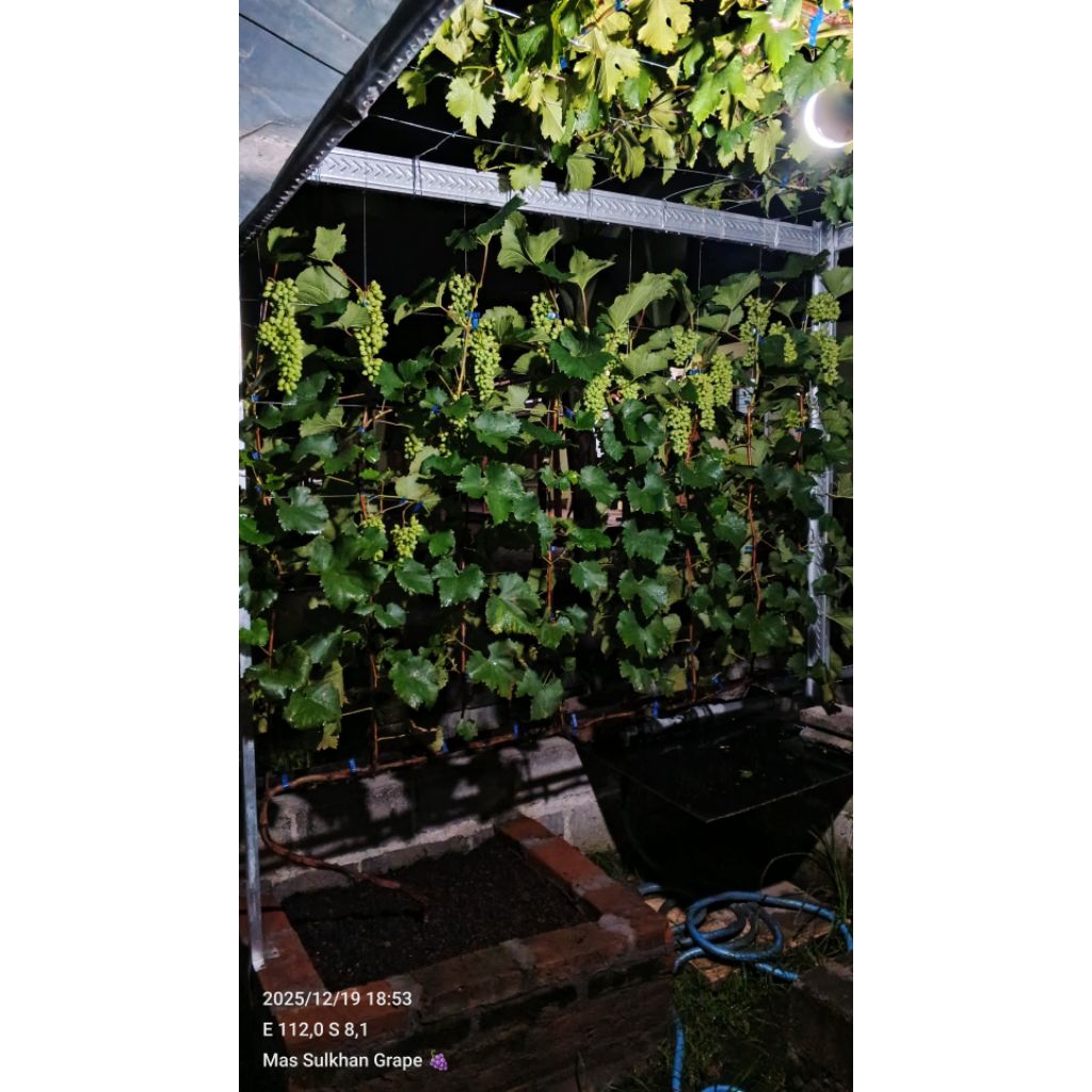 Ab Mix Mas Sulkhan A 5 liter B 5 liter