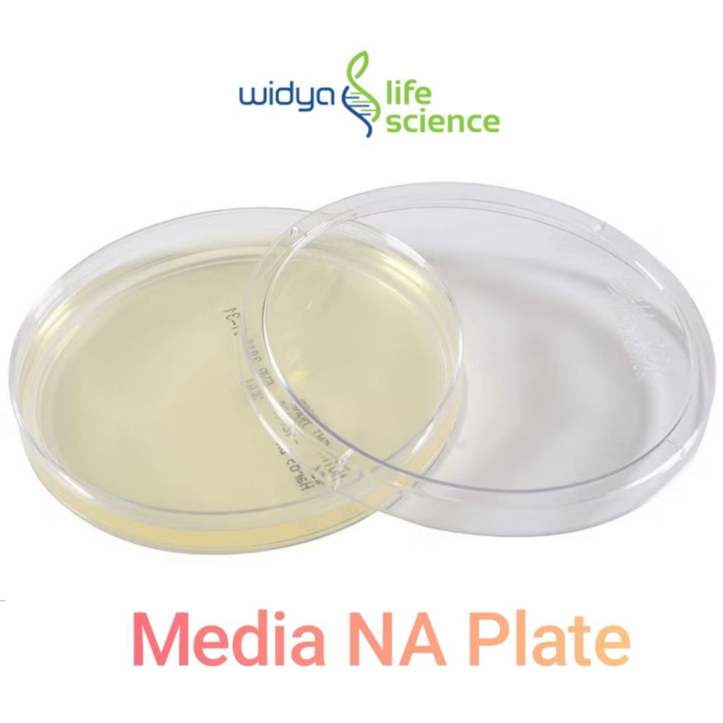 Media Agar Plate Pertumbuhan Bakteri untuk TPC / Uji ALT / Nutrient Agar / NA / Media Pertumbuhan Ba