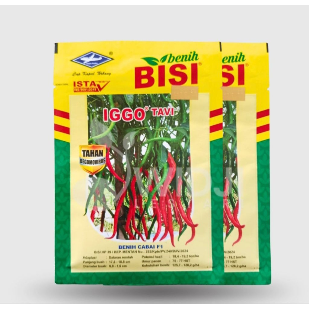 benih bibit cabe keriting IGGO TAVI F1 10 GRAM