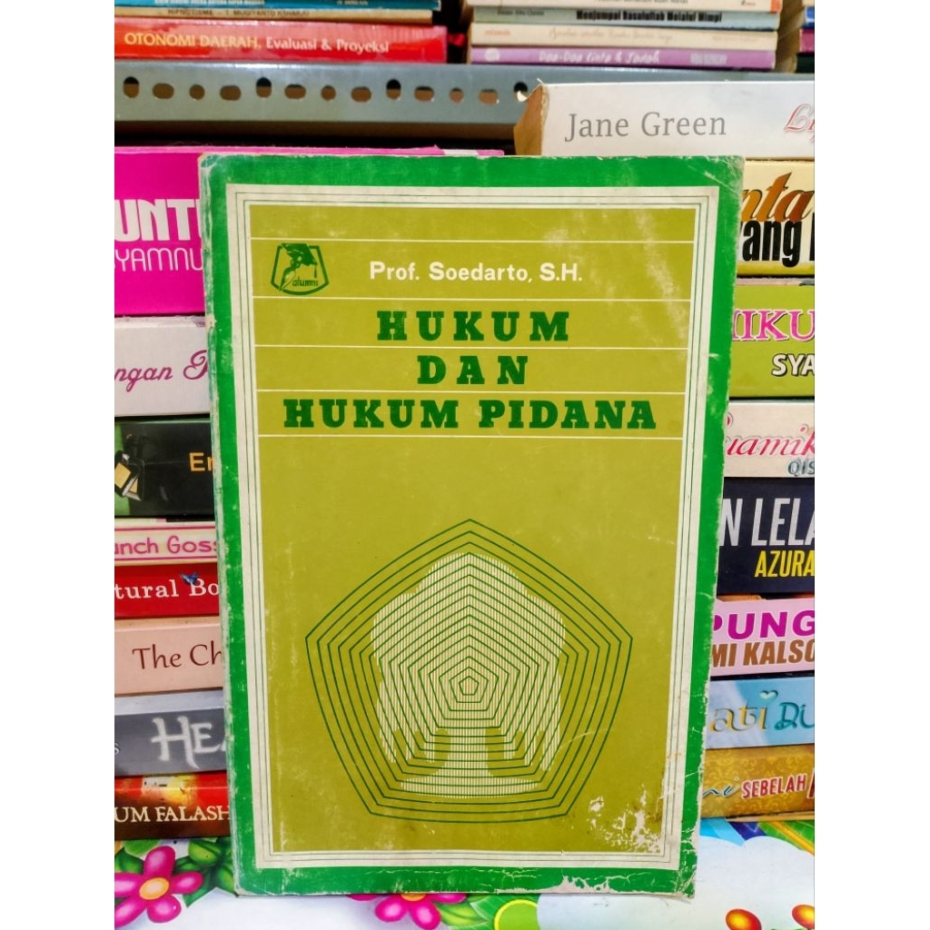 BUKU HUKUM DAN HUKUM PIDANA (ORIGINAL)