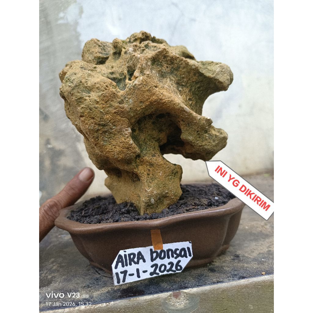 batu karang gunung estetik