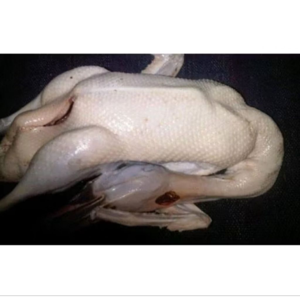 Entok (baru potong) fresh