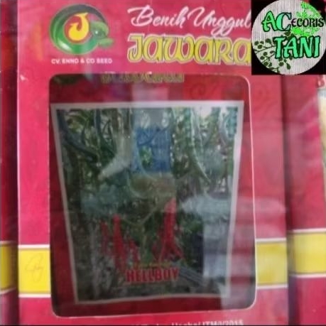 JAWARA_(Kecil)4-10GR