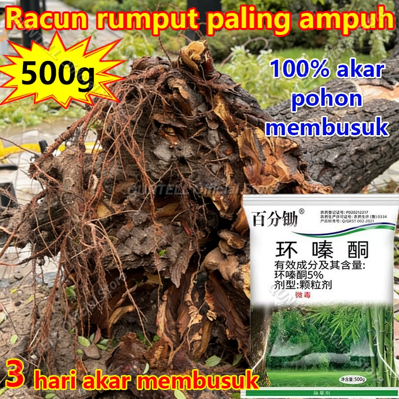 Herbisida Pembunuh Pohon Besar Racun Bambu Obat Pembasmi Bambu Obat Pembasmi Rumput Racun Rumput Lia