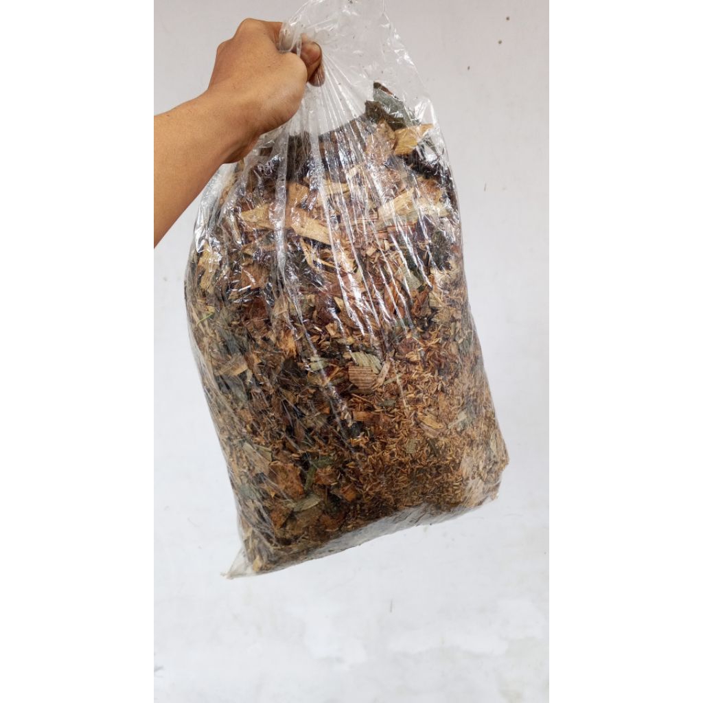 media tanam super media tanam permentasi media tanam subur media tanam superduper