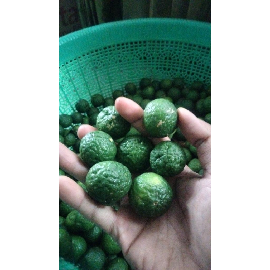 Jeruk sambal jeruk limau 1kg