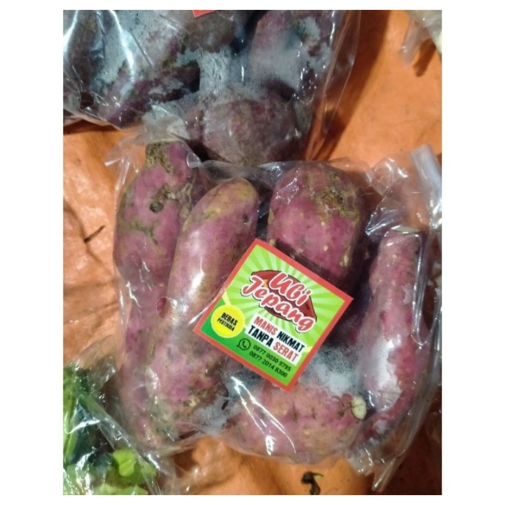 Ubi Cilembu perpack / Ubi Jepang
