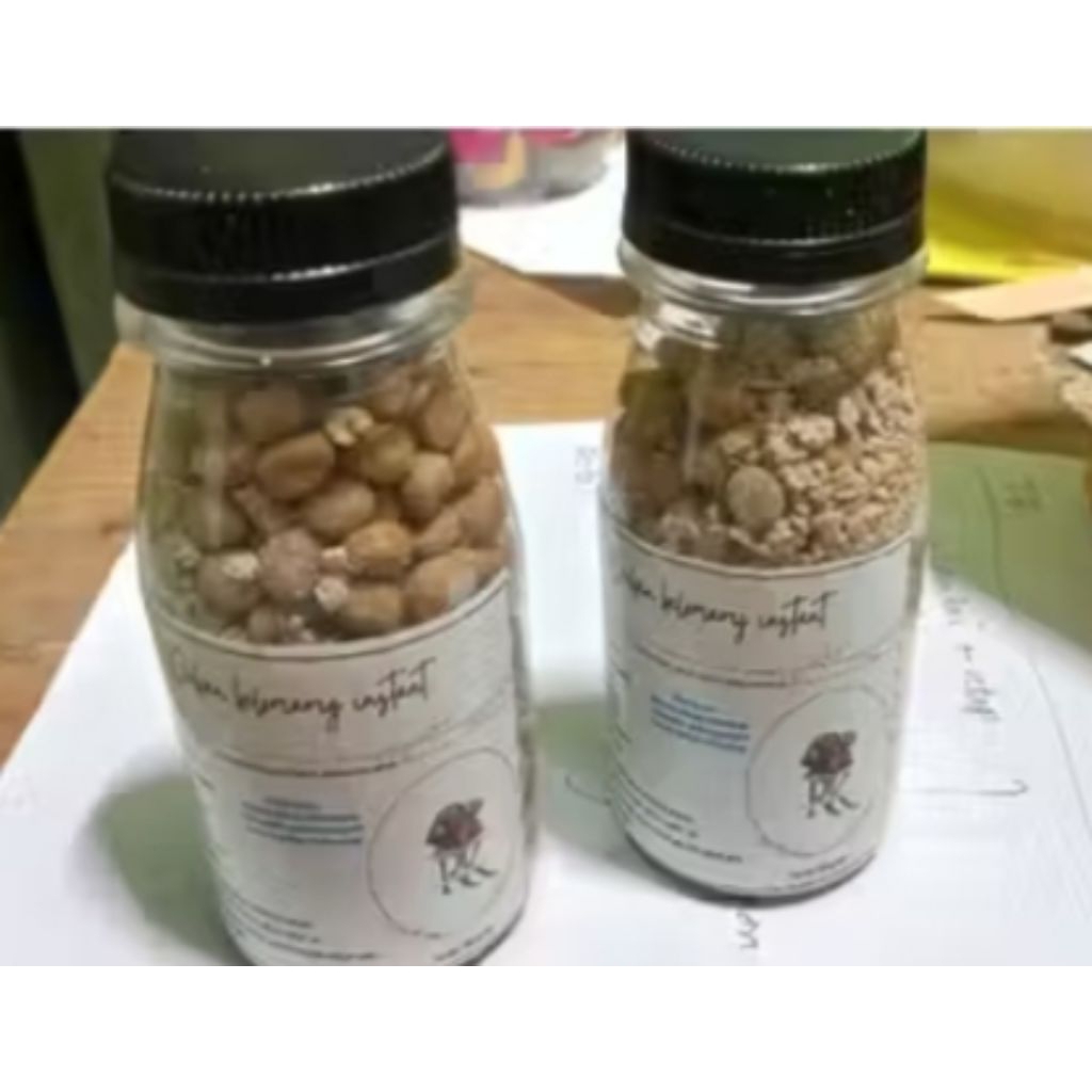 Makanan kelomang/ Uman umang