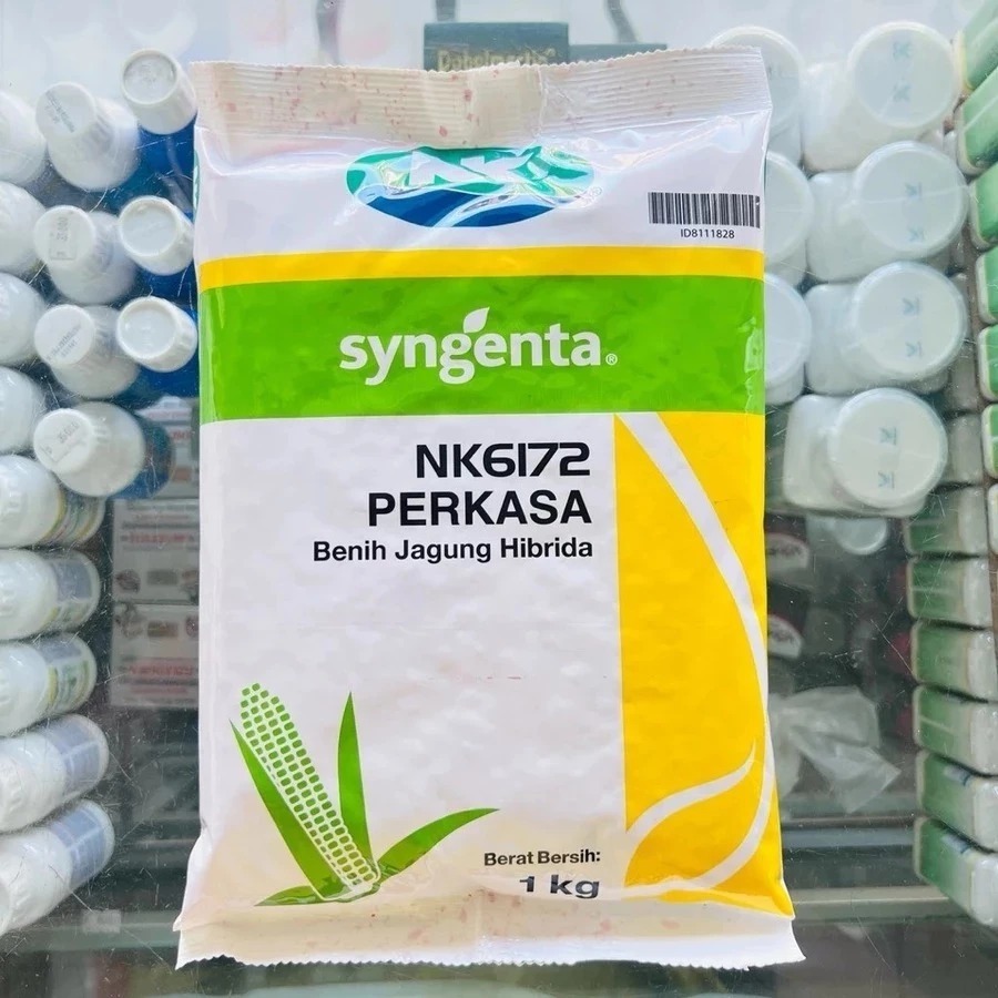Benih JAGUNG HIBRIDA NK 6172 PERKASA 1KG #bibit jagung#jagung perkasa#bibit nk perkasa