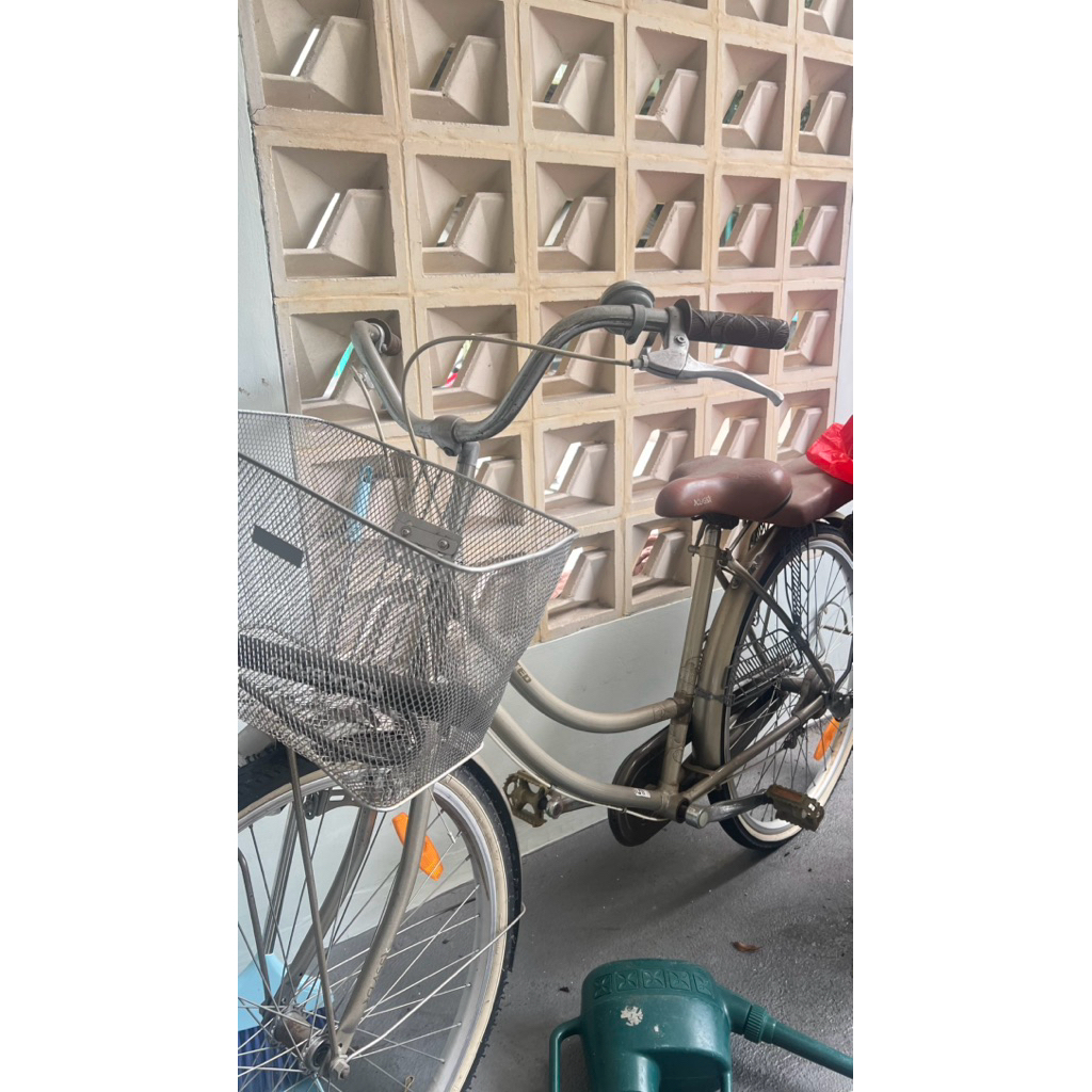 [BEKAS] SEPEDA KERANJANG UNITED CLASS X CLASSIC COKLAT DEWASA