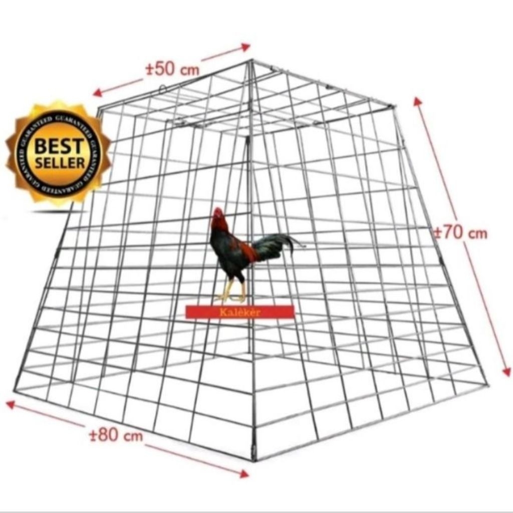 Kandang ayam pyramid/jemuran ayam
