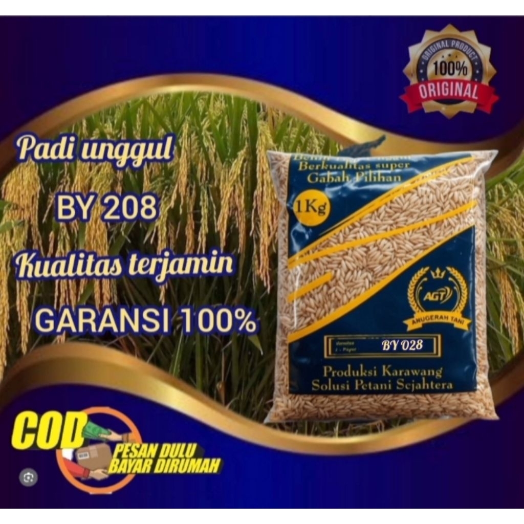 Benih padi BY 208 kemasan 1kg kualitas terjamin