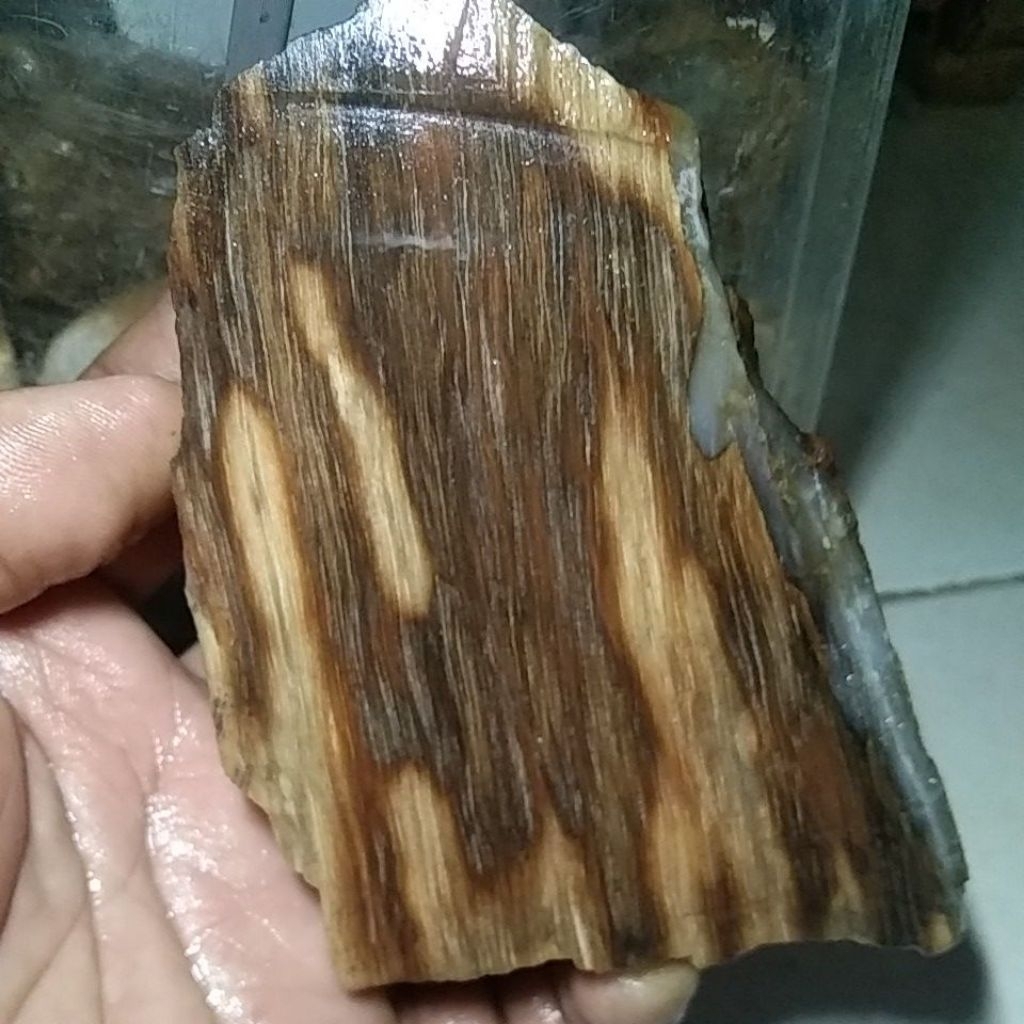 BATU FOSIL KELOR MERAH MOTIF SERAT UNIK BISA MENYALA TESPEN