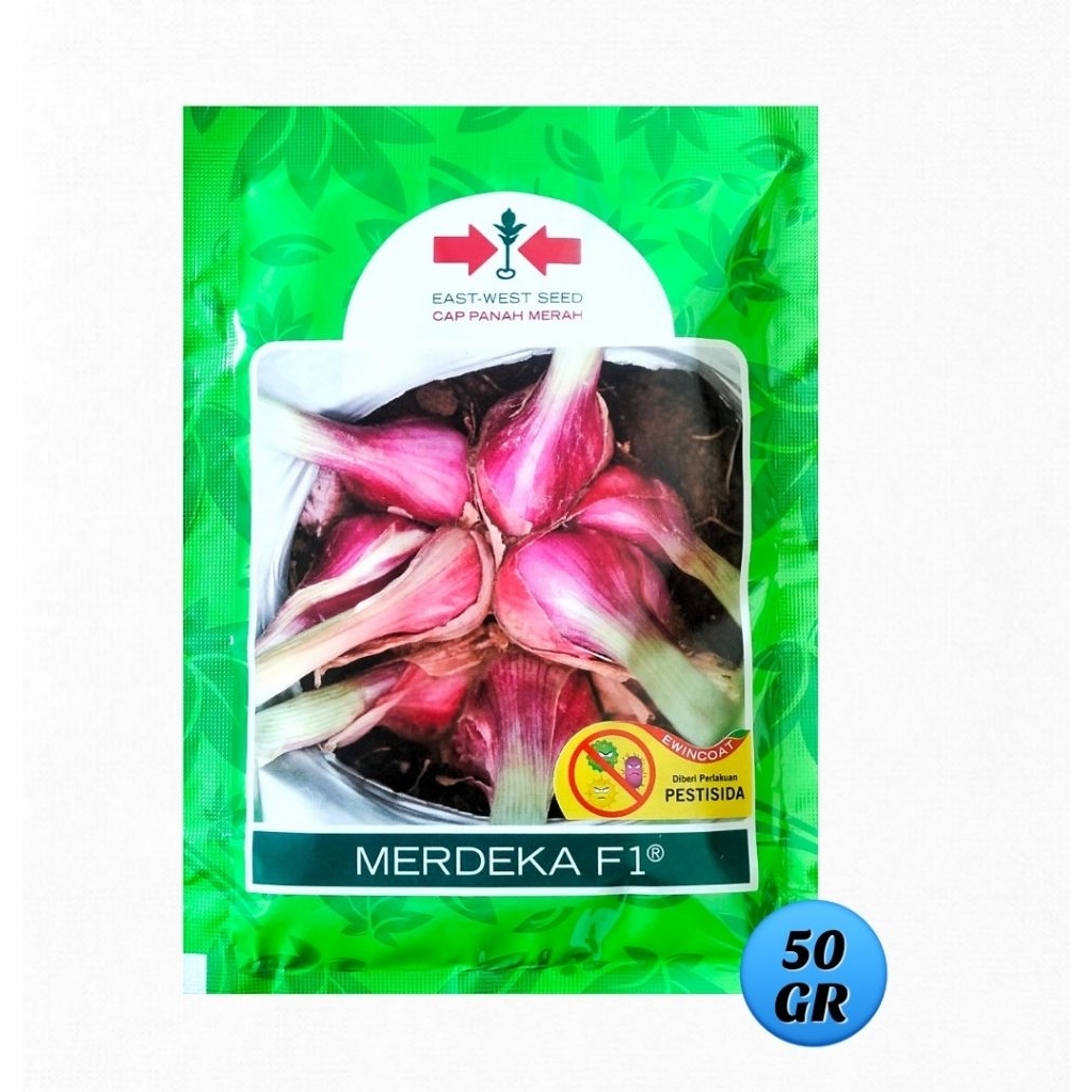 Benih Bawang Merah Hibrida Tss ( true shallo seed ) MERDEKA F1 - 50 gram // Bibit Bawang Merah Biji 