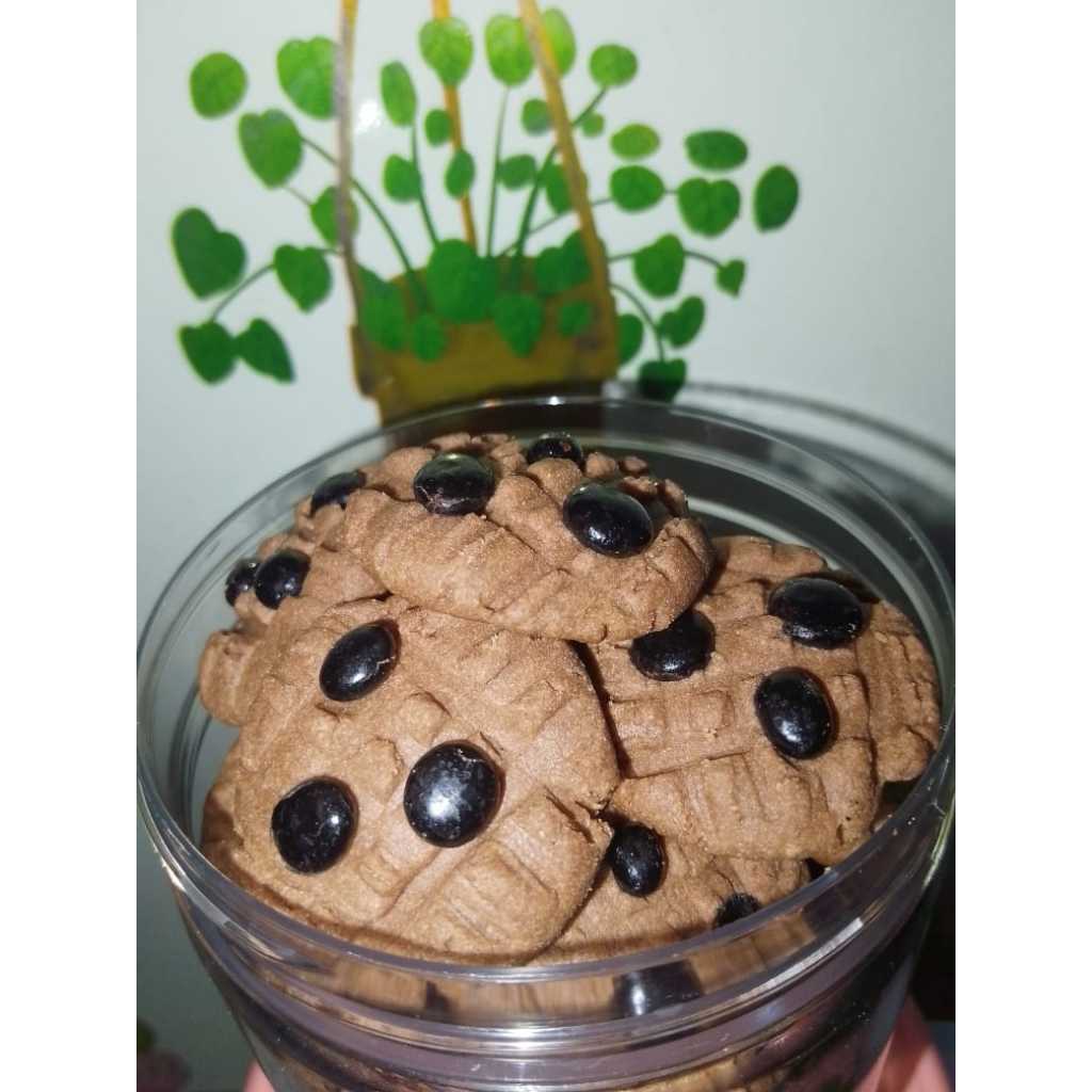 Kue Kering Cookies Chocochip 250gr