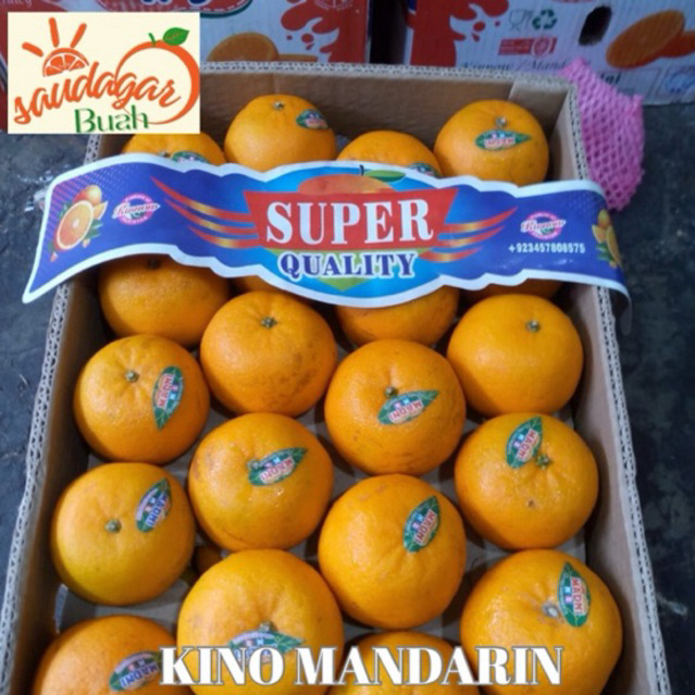 BUAH JERUK KINO MANDARIN / JERUK MANDARIN KINO 1KG