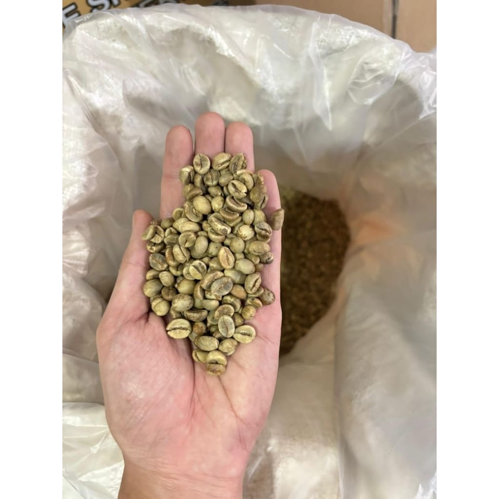 GREENBEAN ROBUSTA grade 1 biji kopi ROBUSTA grade 1