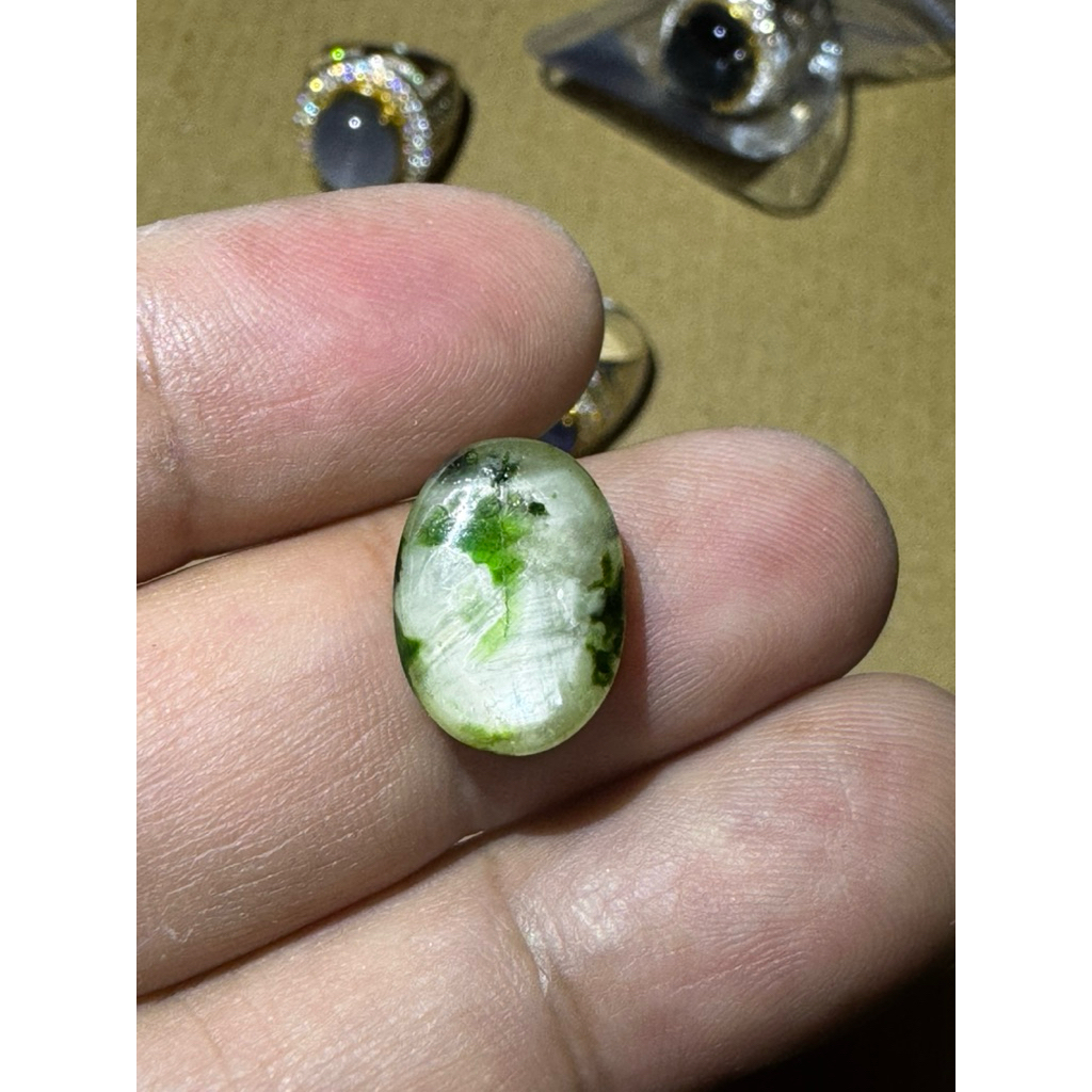 Natural Yellow Star Sapphire Motif Elang