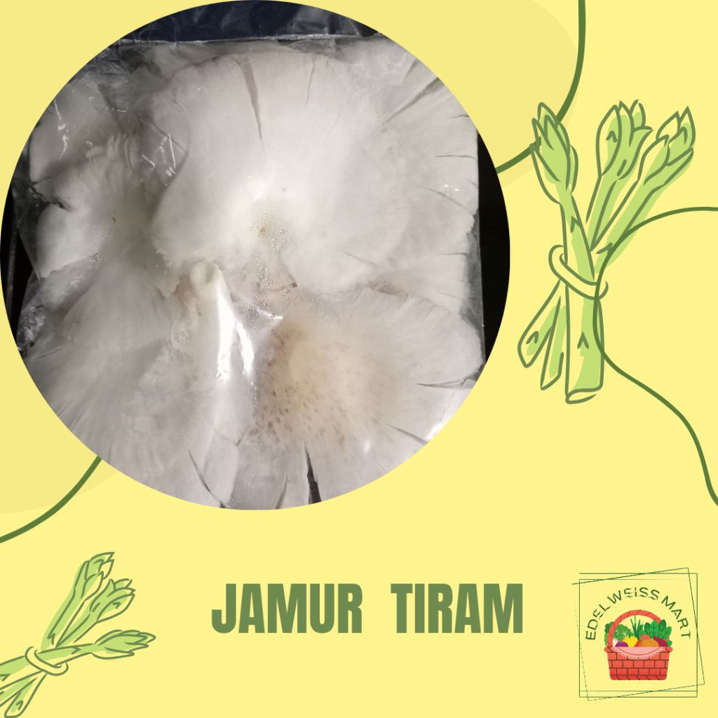 JAMUR TIRAM 1PACK +-100g (FRESH) - INSTANT SEMARANG