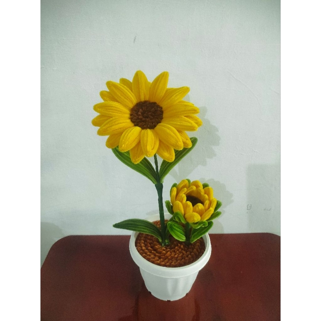 bunga matahari jumbo