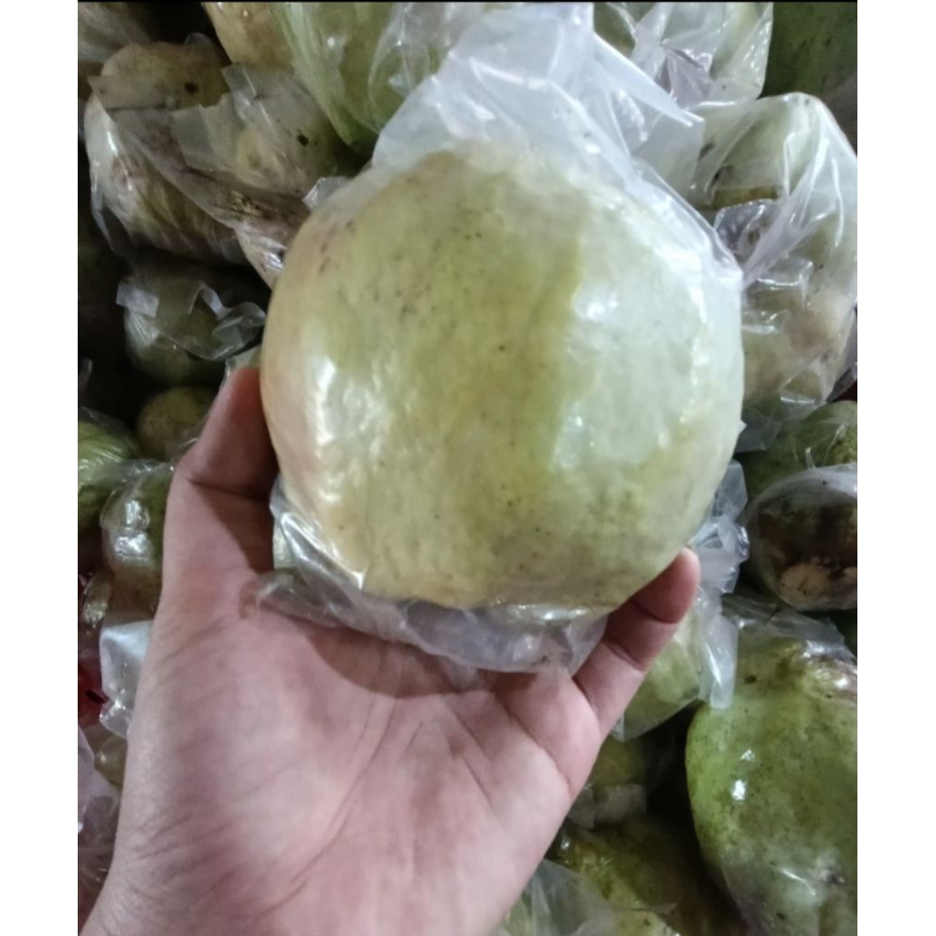 BUAH JAMBU KRISTAL SEGAR 1KG MURAH, JAMBU KRISTAL 1KG