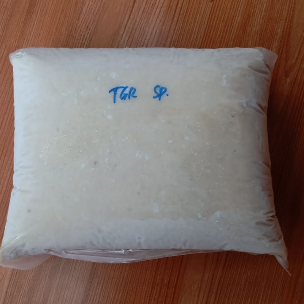 Ikan Giling, Ikan Tenggiri, 1 Kg