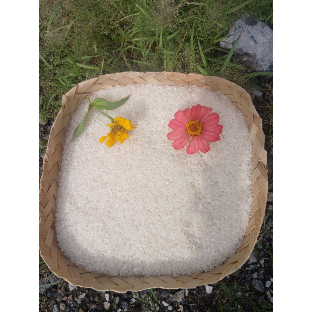 Beras raja lele ungu premium kemasan 1 kg